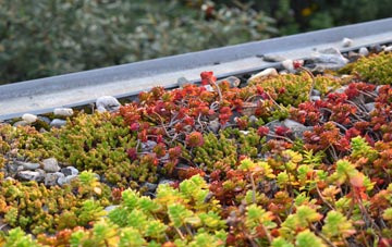 the cost of Bunree green roof installation
