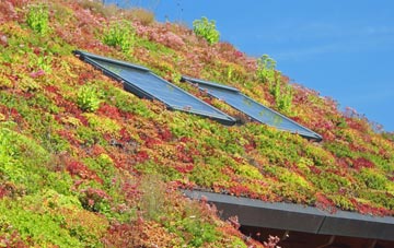 Bunree living roof systems