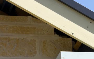 soffit repair Bunree