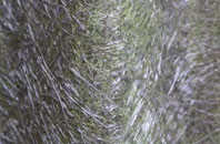 Bunree fibreglass roof work