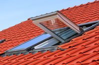 Bunree roof window